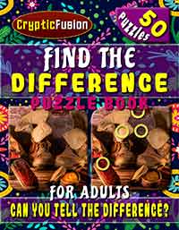 find the difference puzzle book for adults
