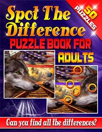 Spot the Difference Puzzle Book Across America