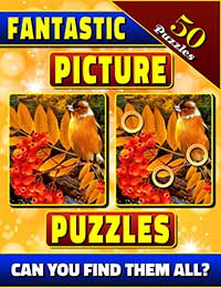 fantastic picture puzzles