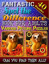 fantastic spot the difference book for adults
