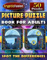 picture puzzle book for adults