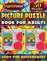 picture puzzle book for adults spot the differences
