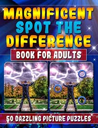 magnificent spot the difference book for adults