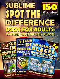 sublime spot the difference book for adults: various