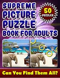 supreme picture puzzle books for adults: hidden picture books for adults. picture search books for adults.